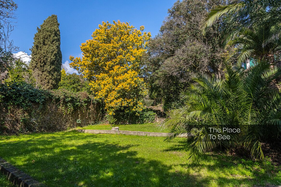 Jardin