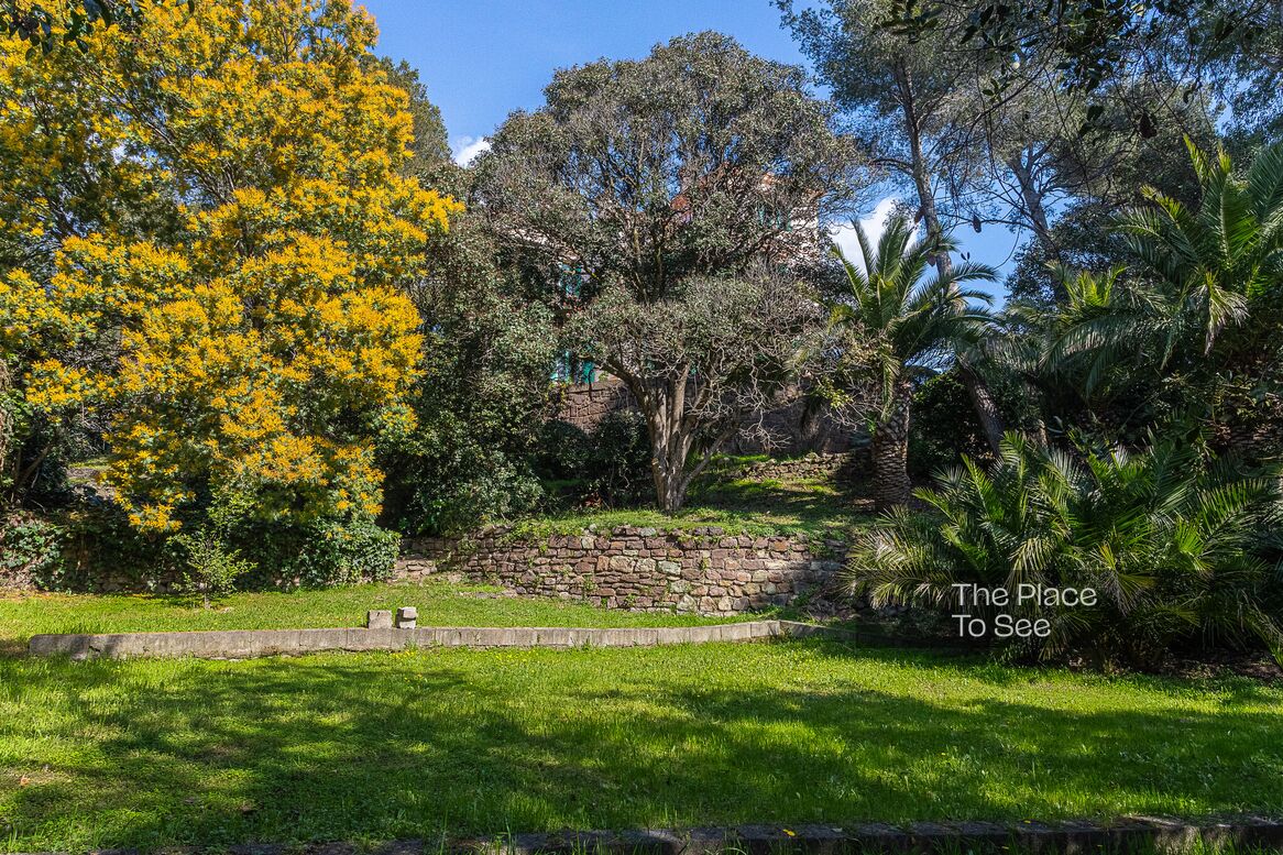 Jardin