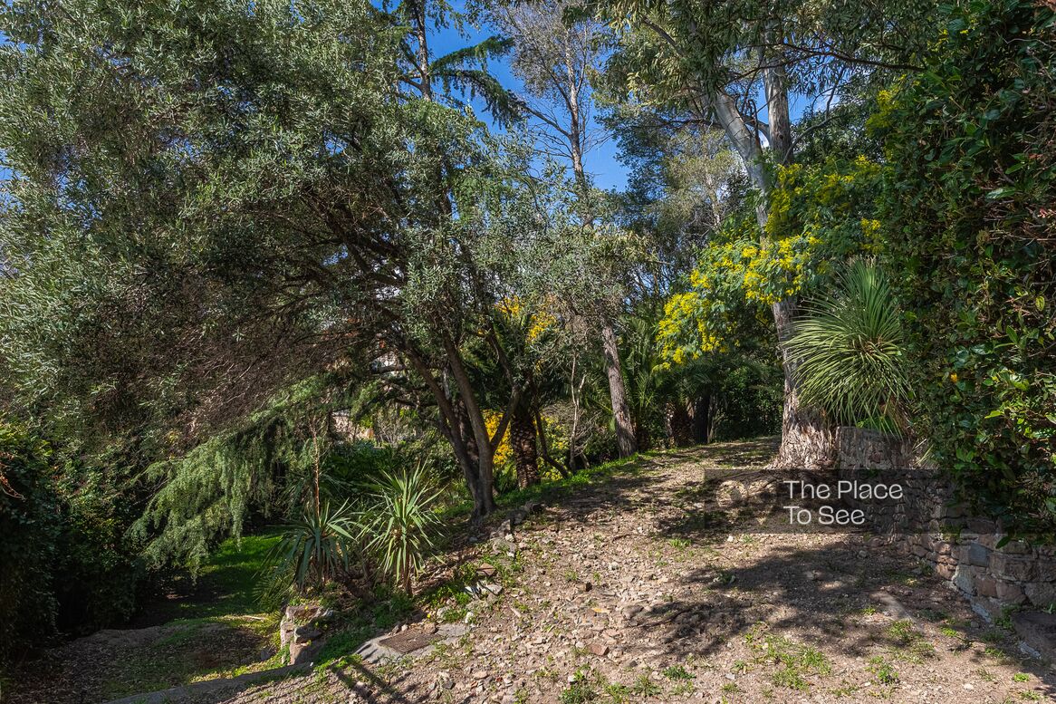 Jardin
