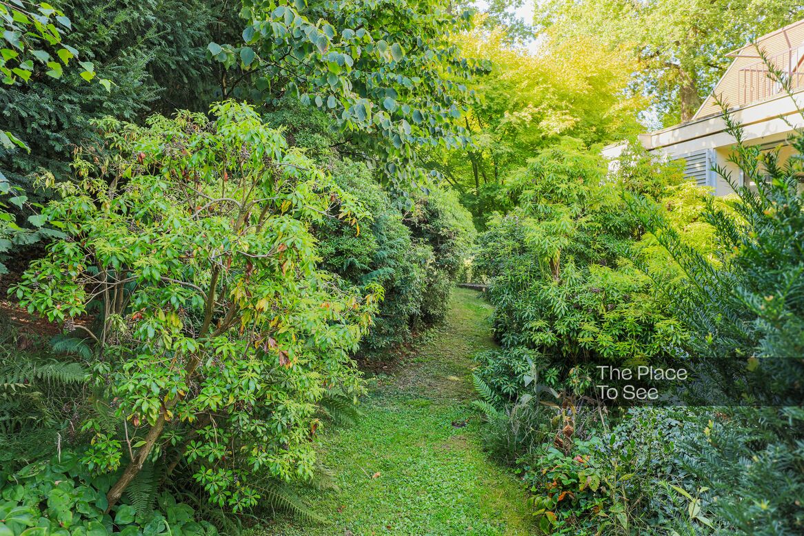 Jardin