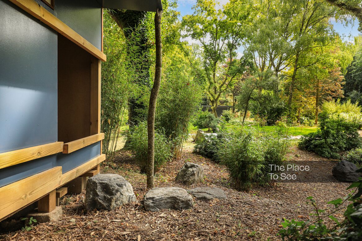 Cabane