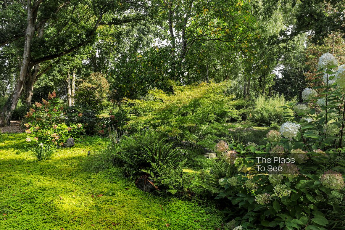 Jardin