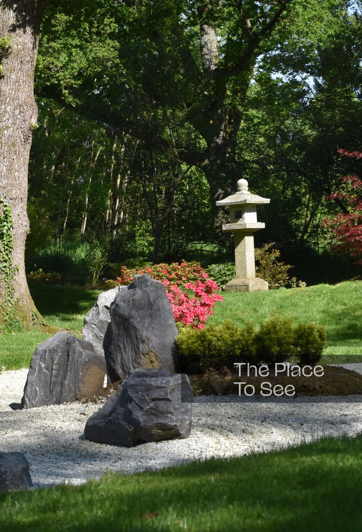 Jardin