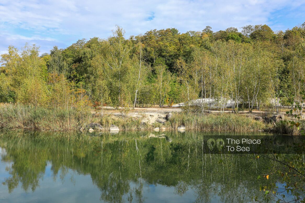 Lac/étang