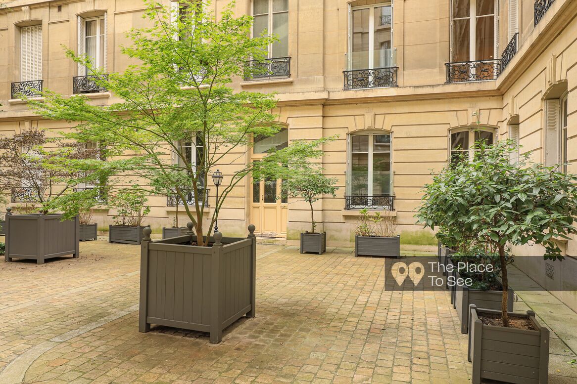 Cour