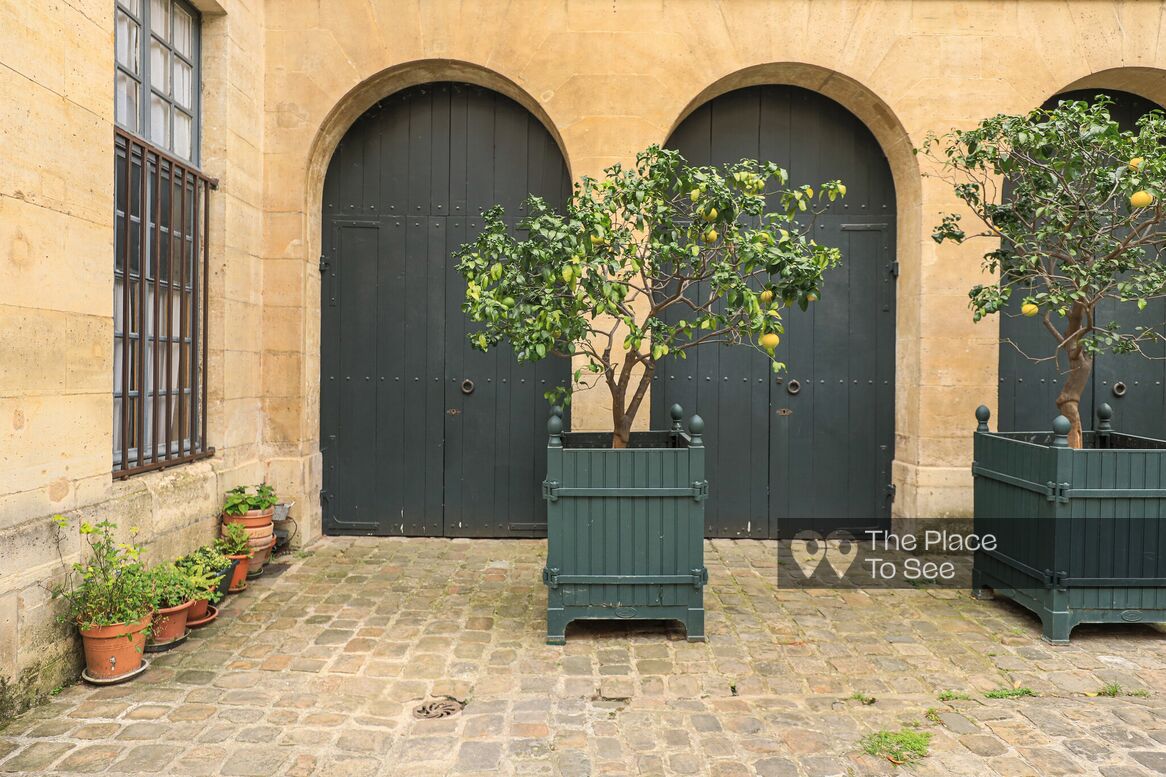 Cour