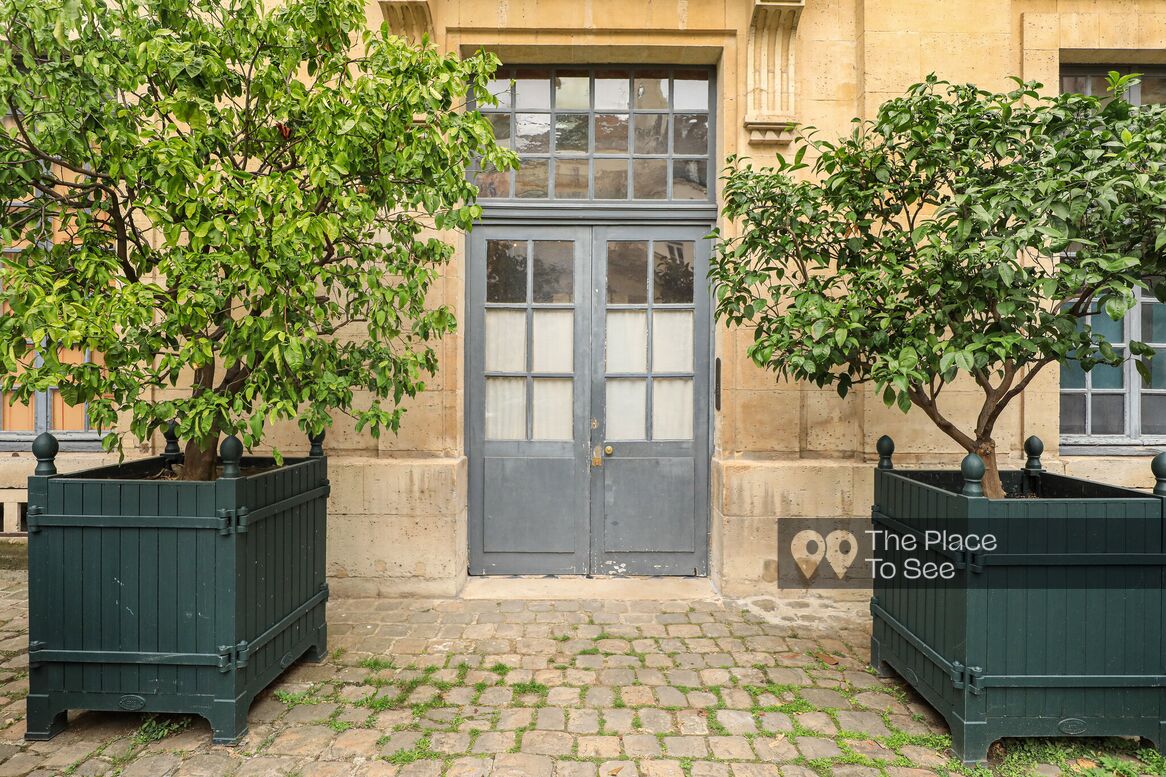 Cour