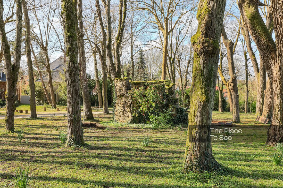 Ruines