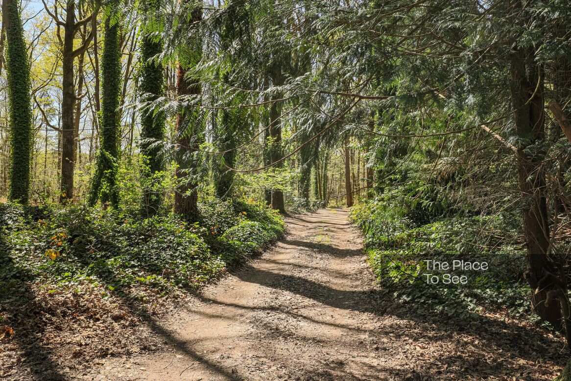 Allée