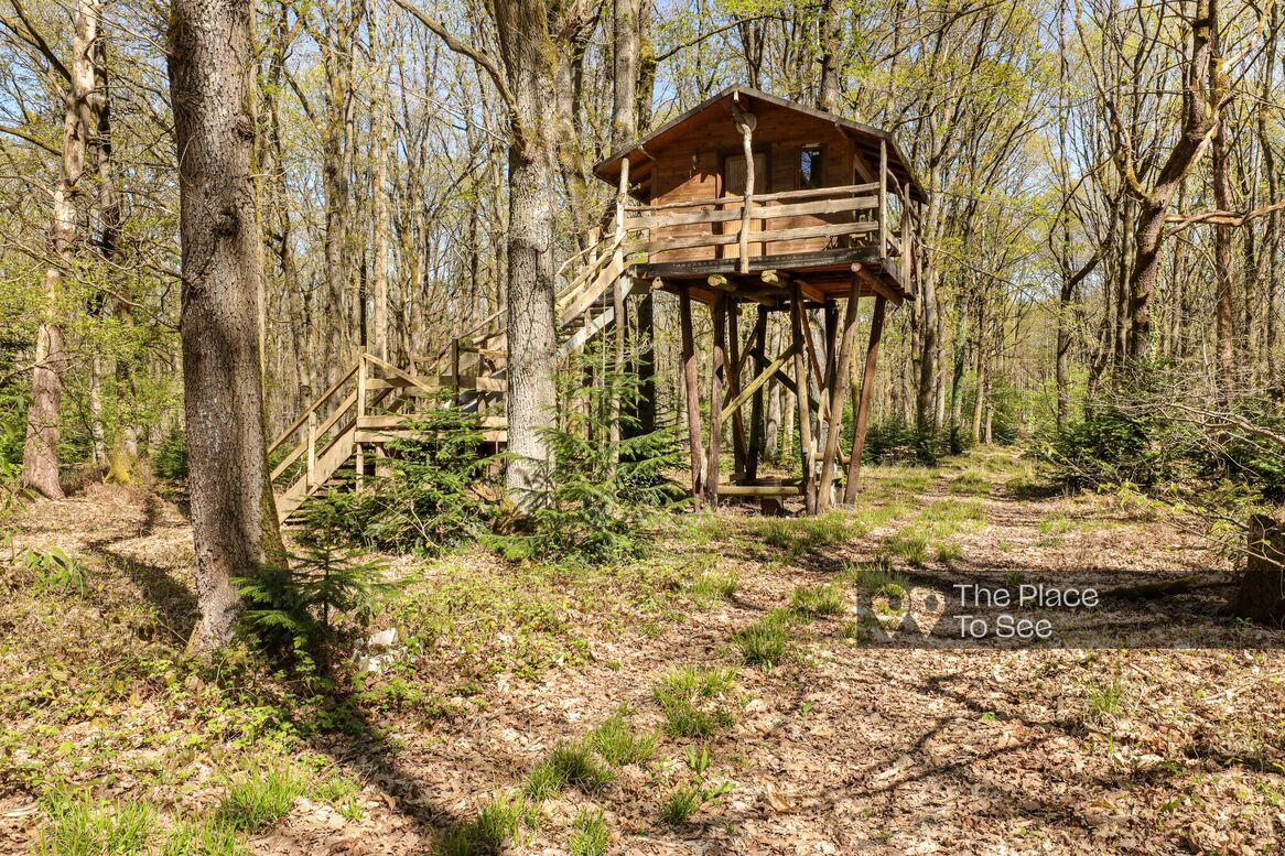 Cabane