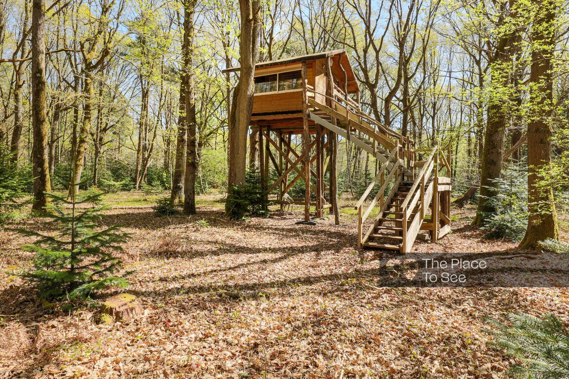Cabane