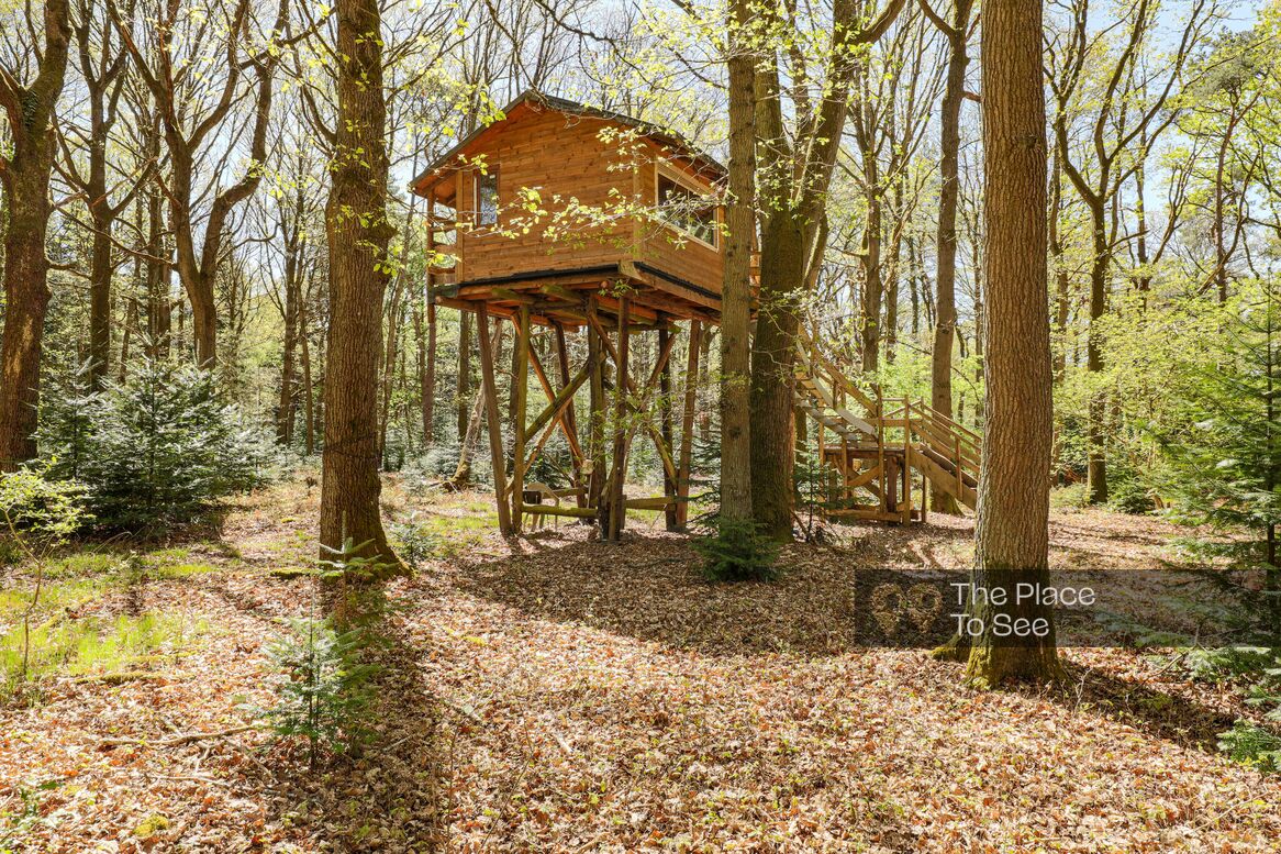 Cabane