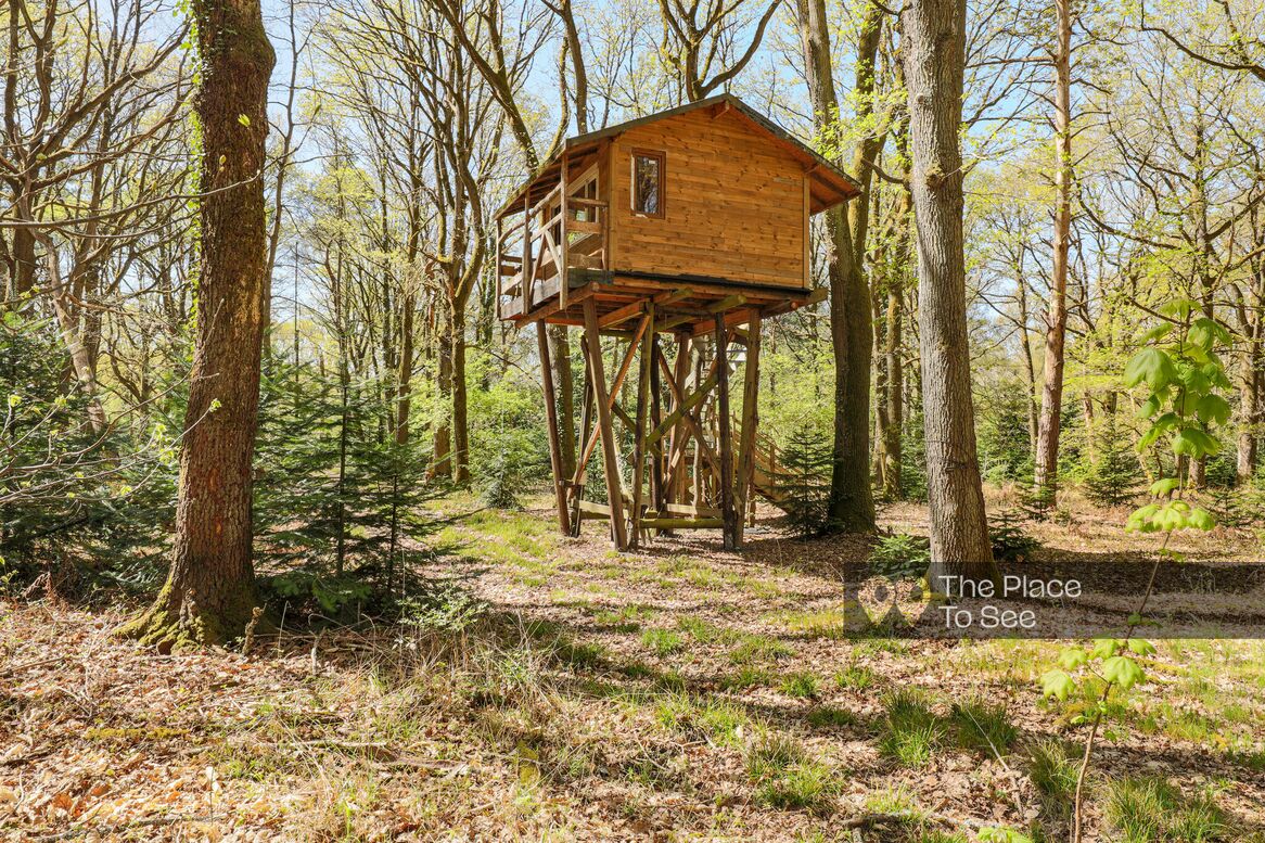 Cabane