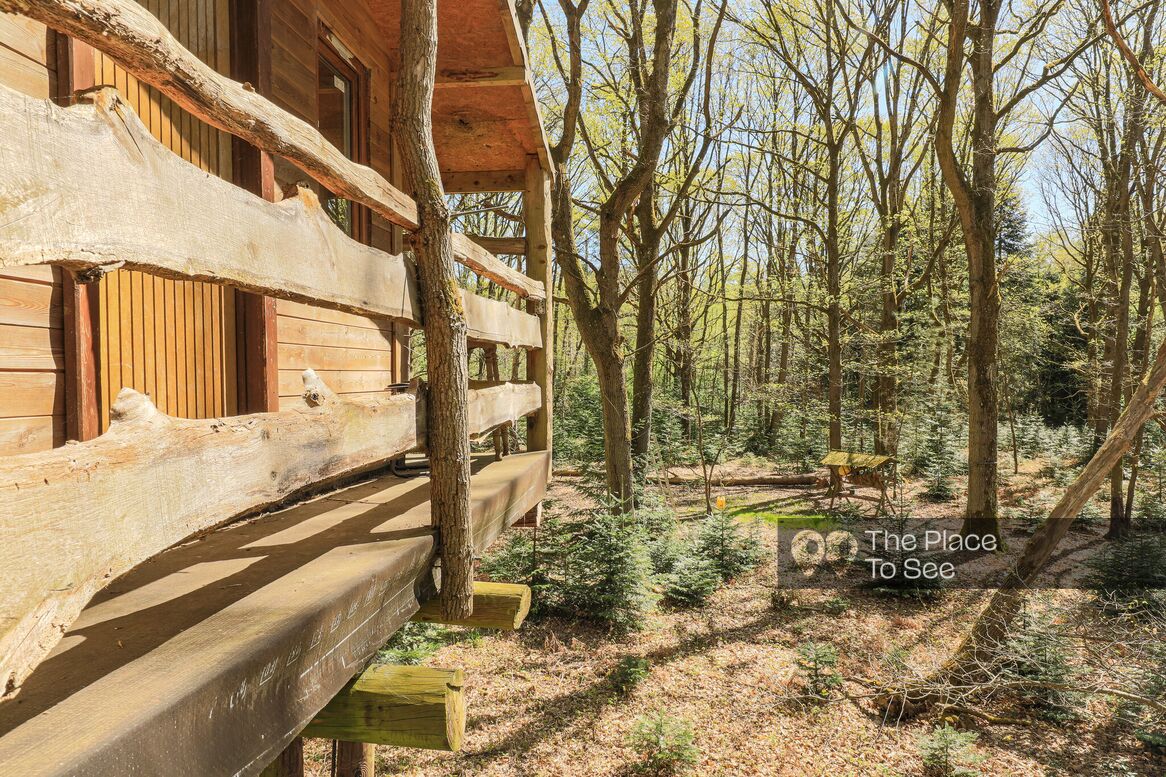 Cabane