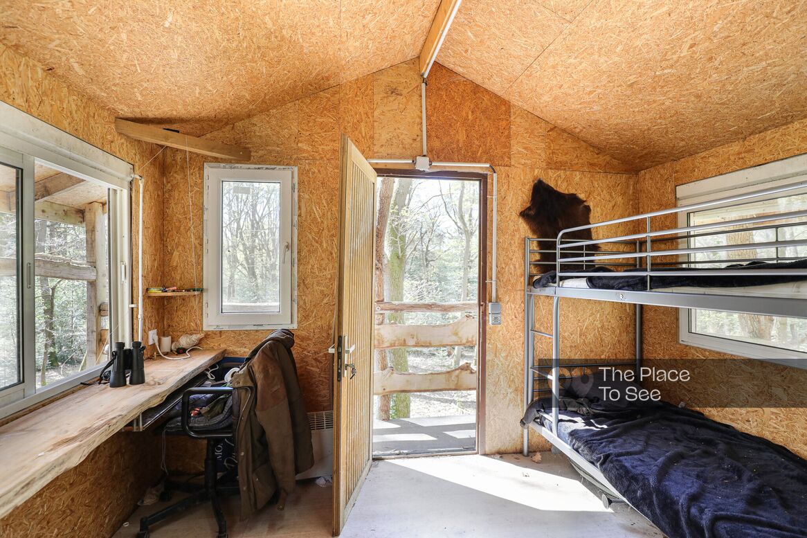 Cabane