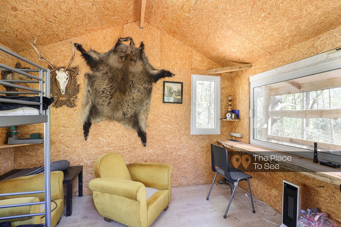 Cabane