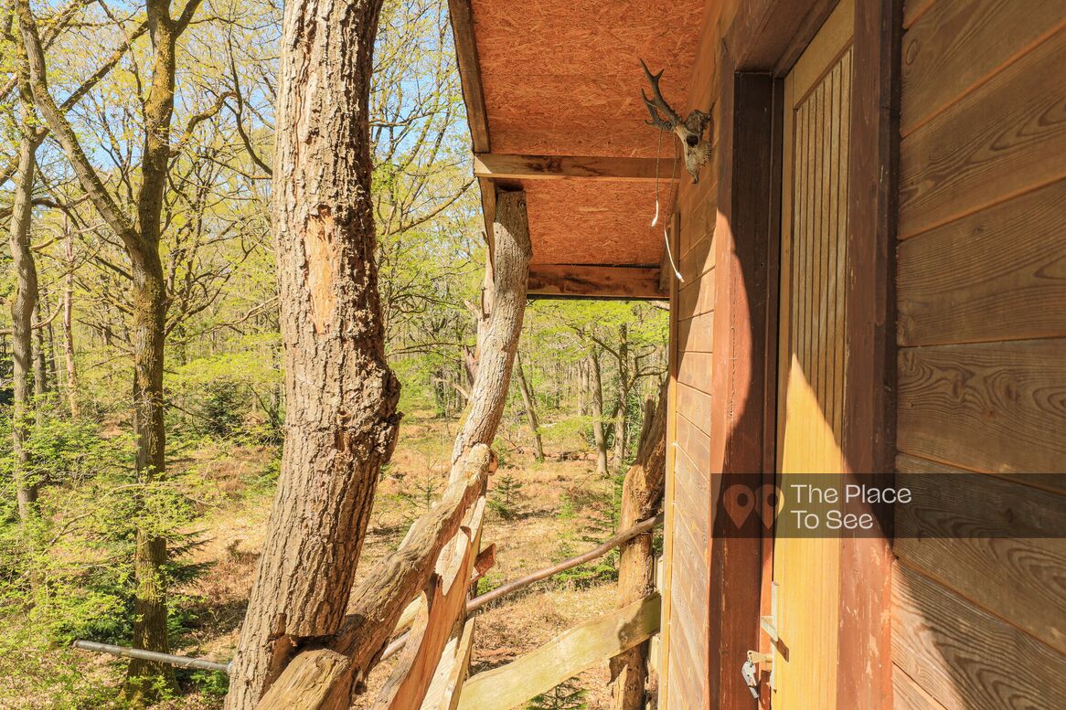 Cabane