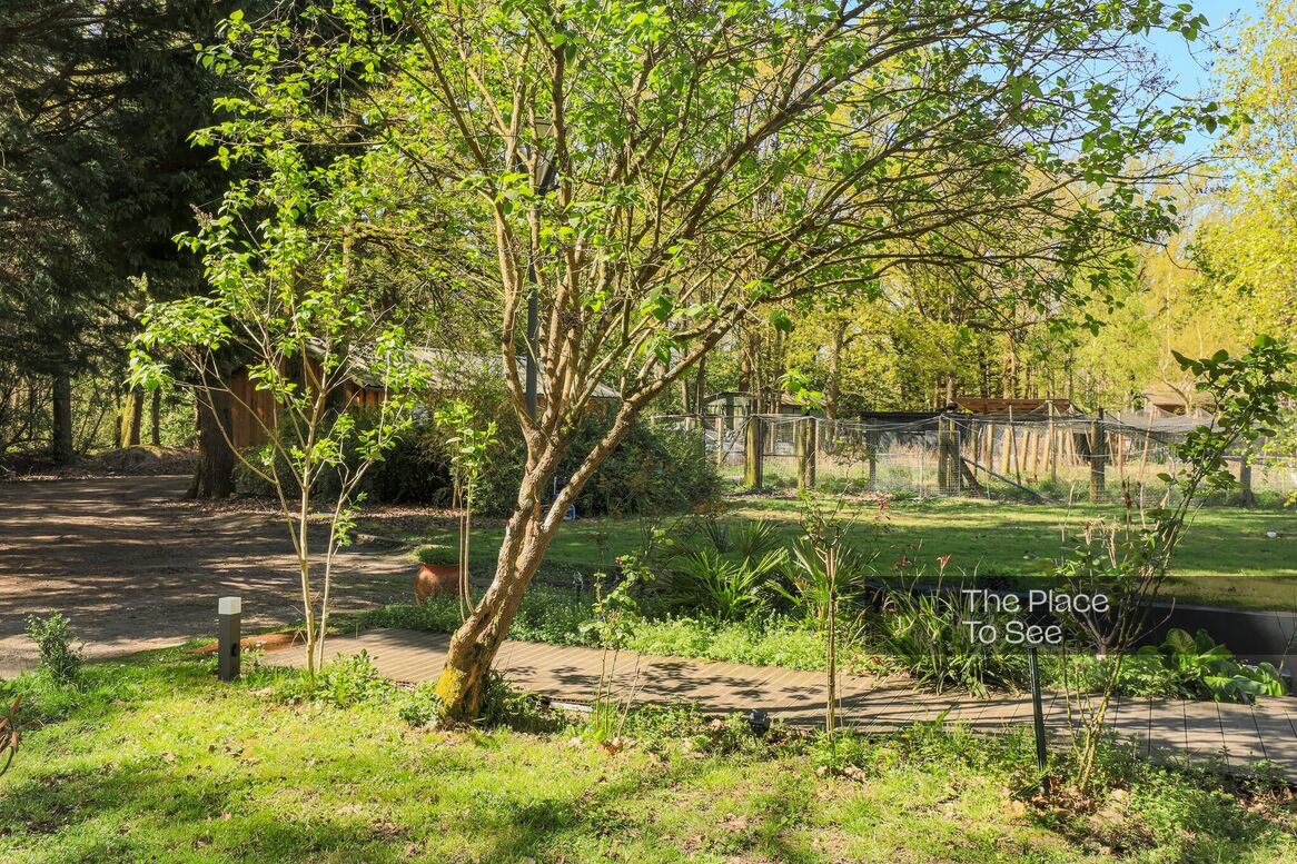 Jardin