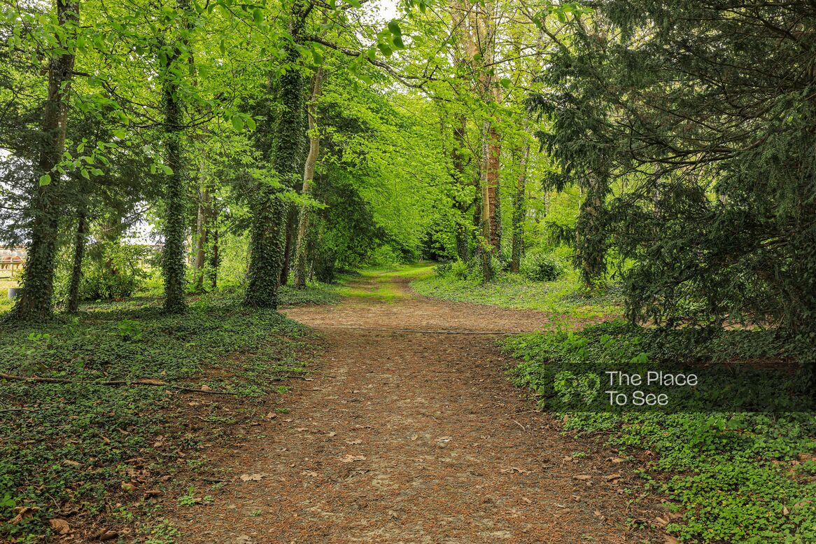 Allée