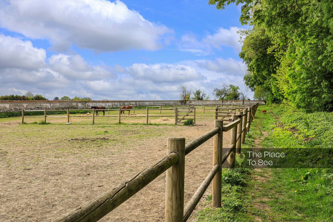 Manège à chevaux