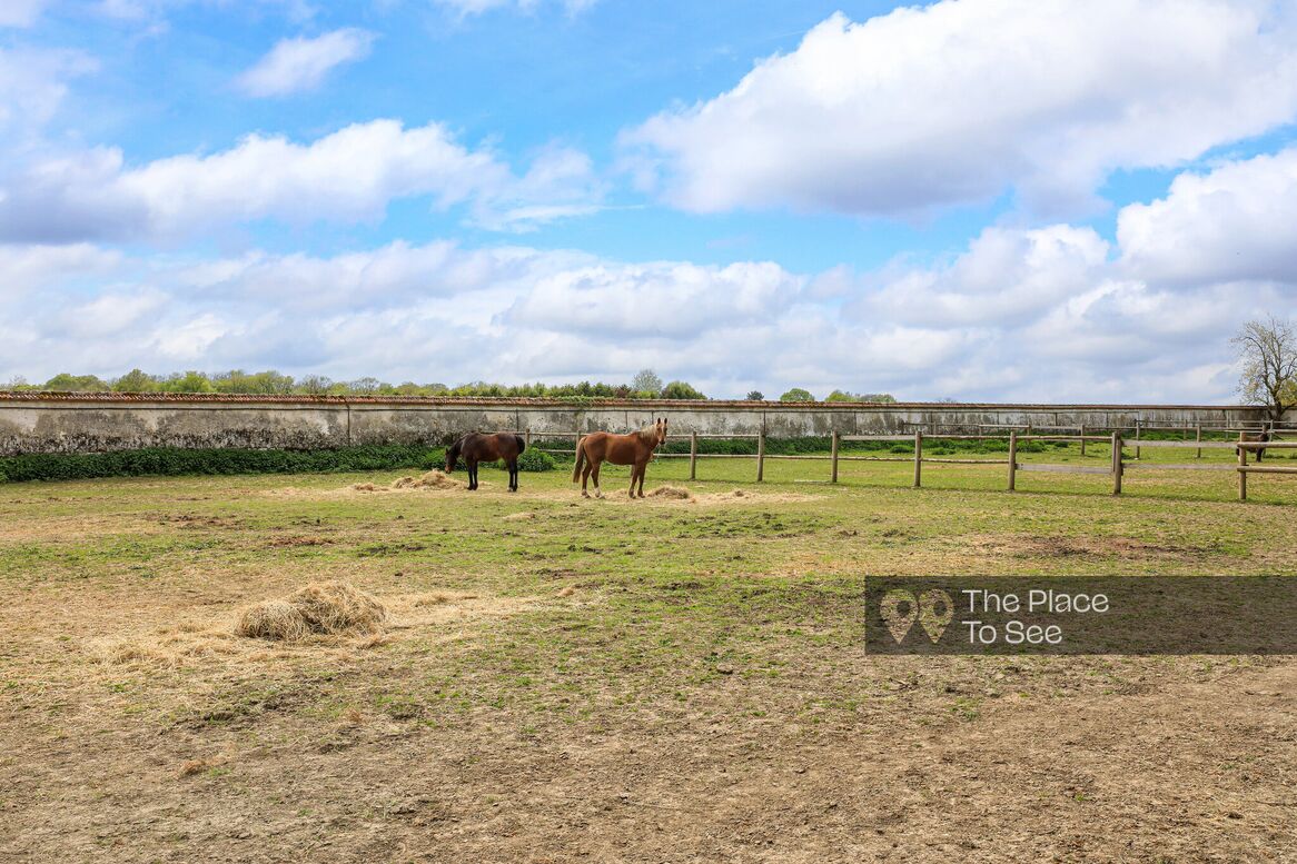 Manège à chevaux