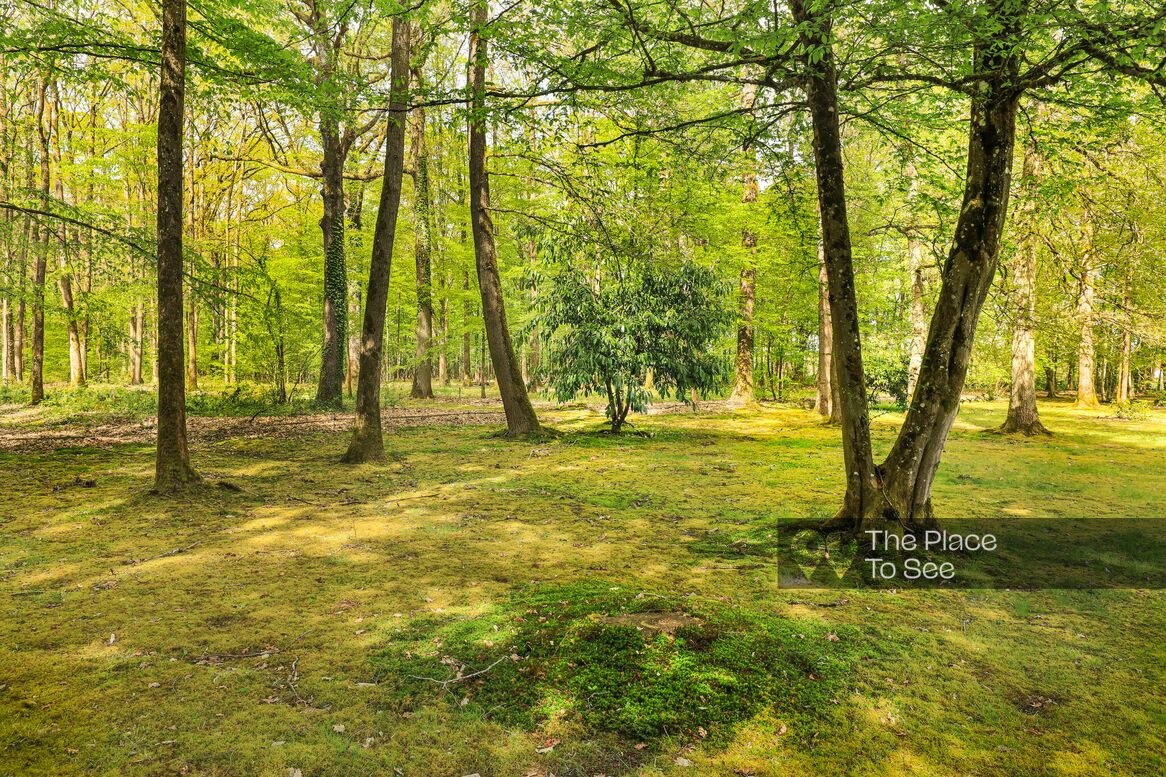 Parc