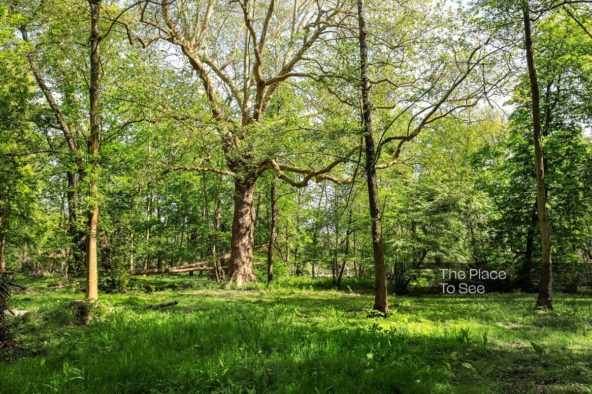 Parc