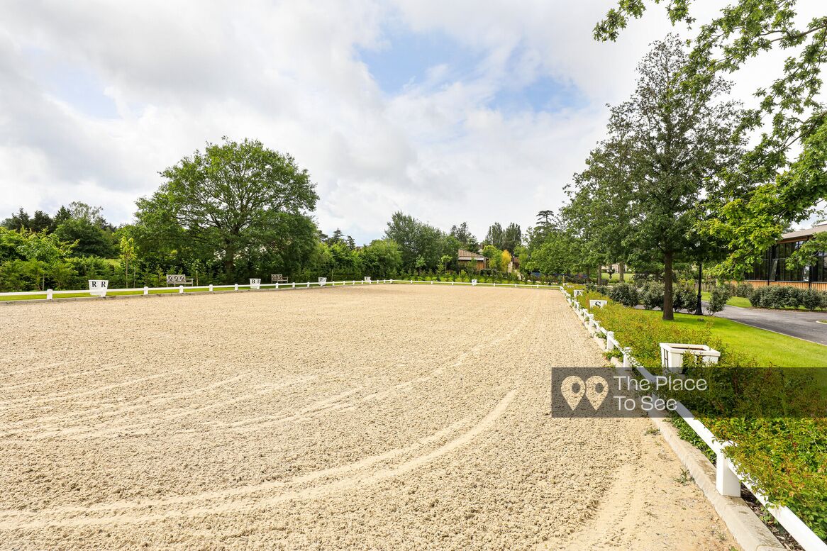 Manège à chevaux