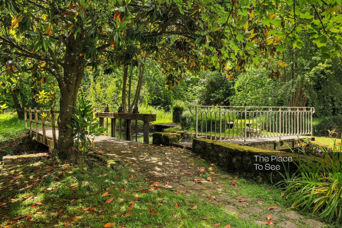 Pont