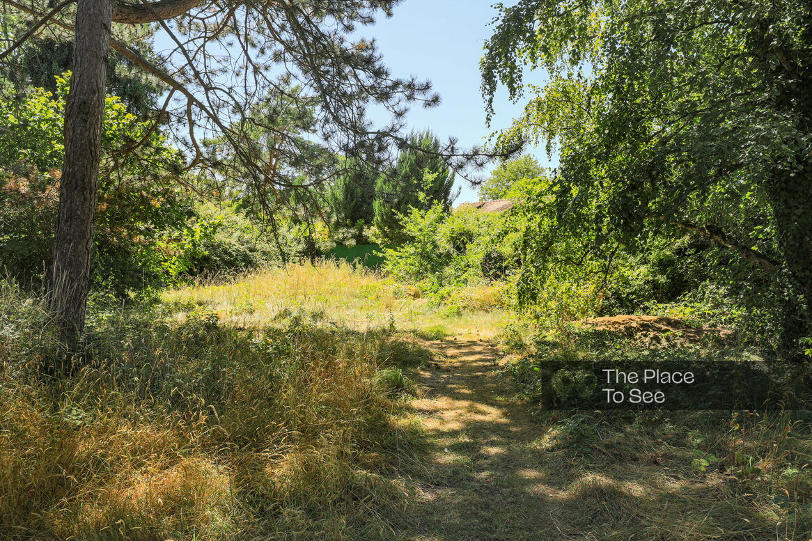 Jardin