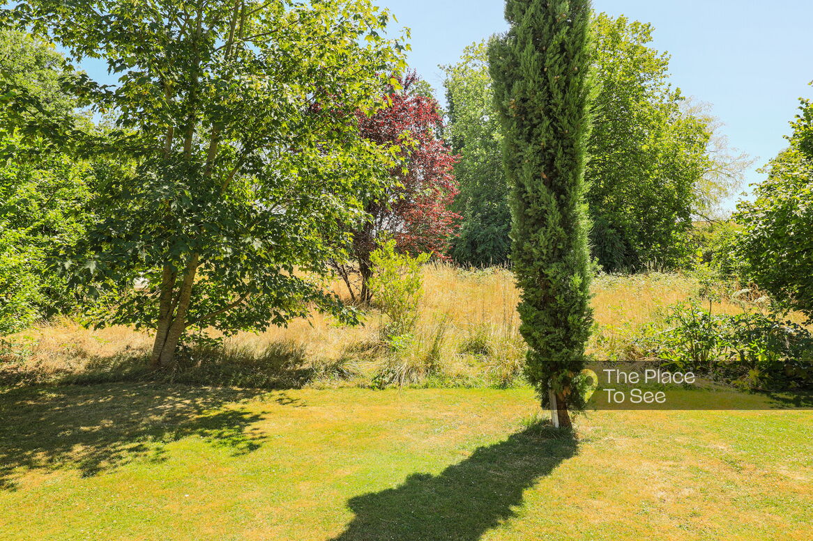 Jardin