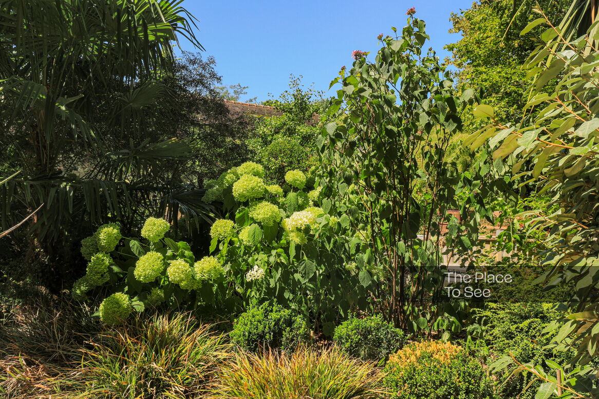 Jardin