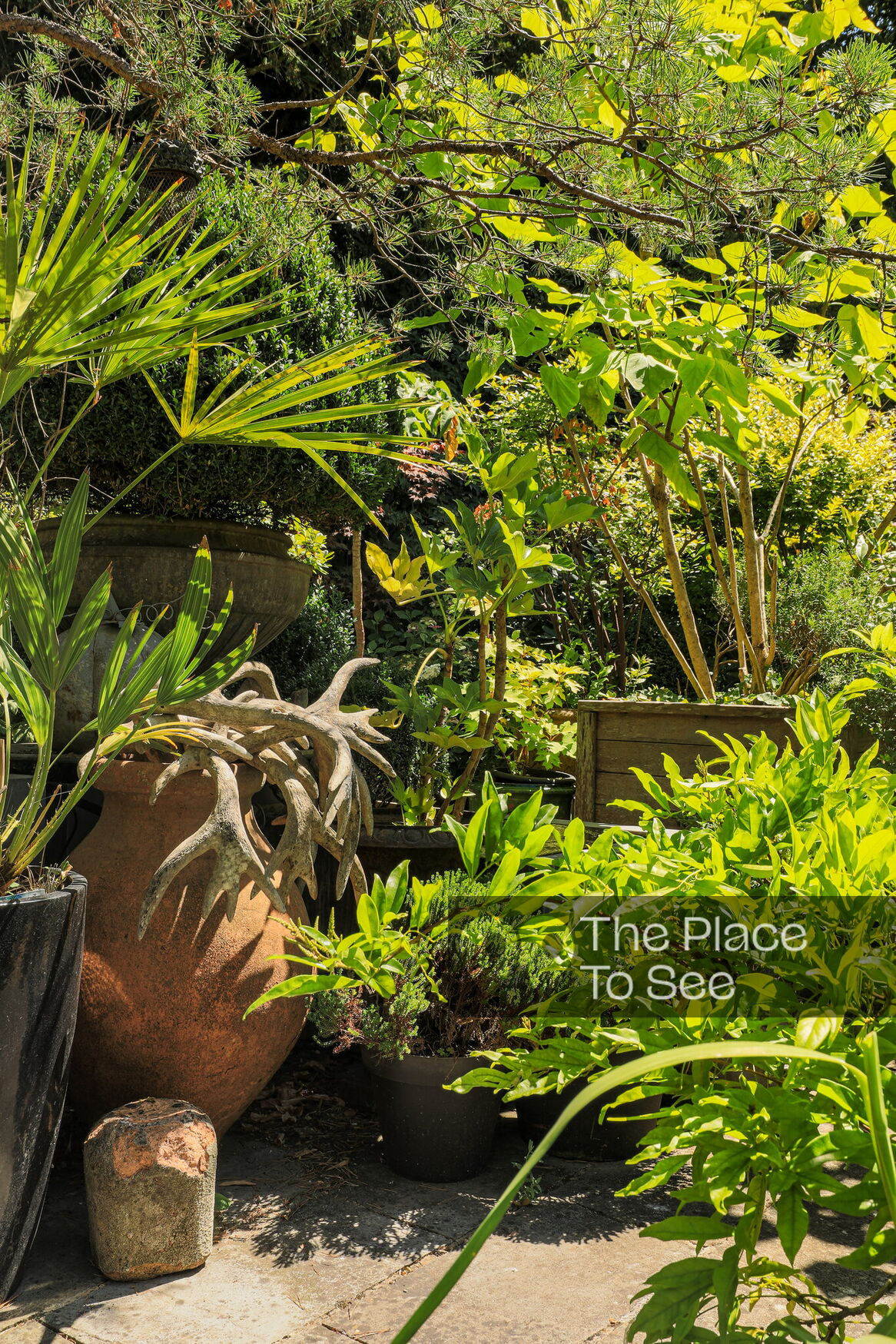 Jardin
