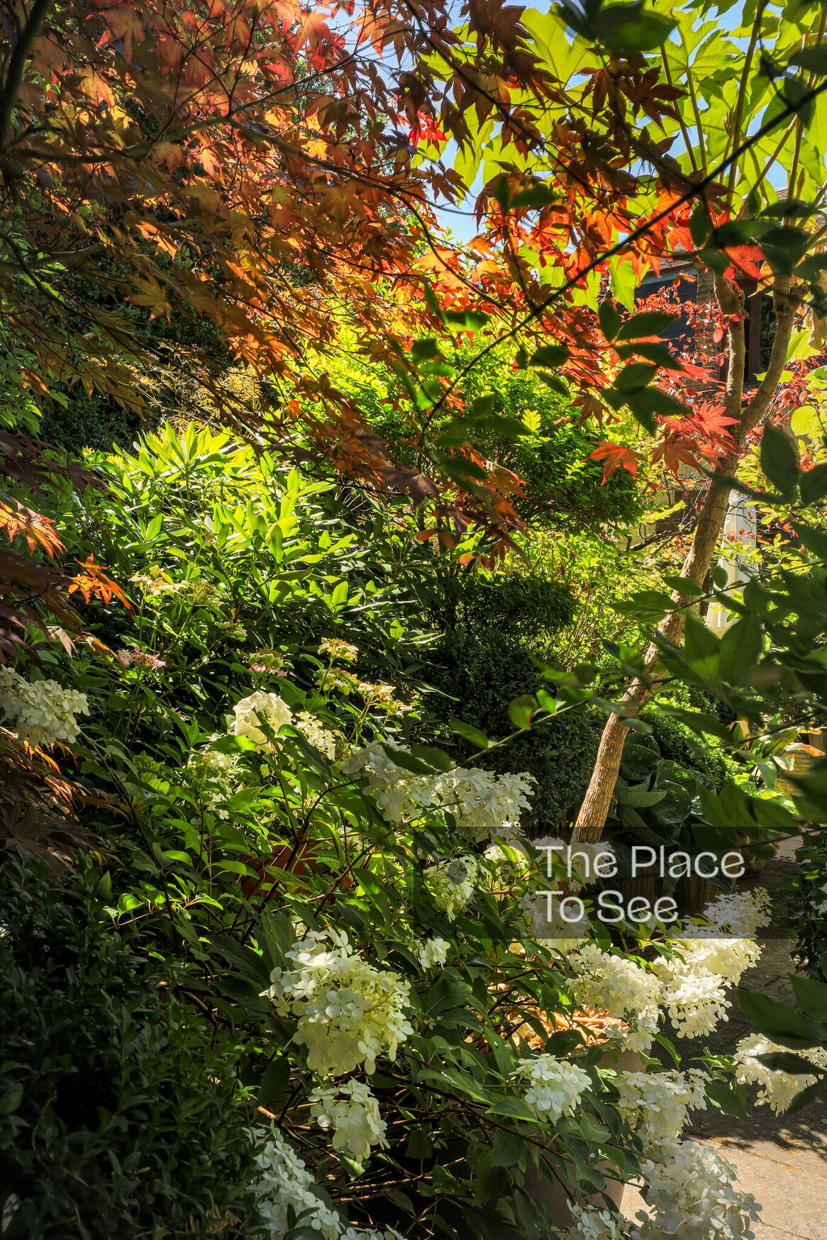Jardin