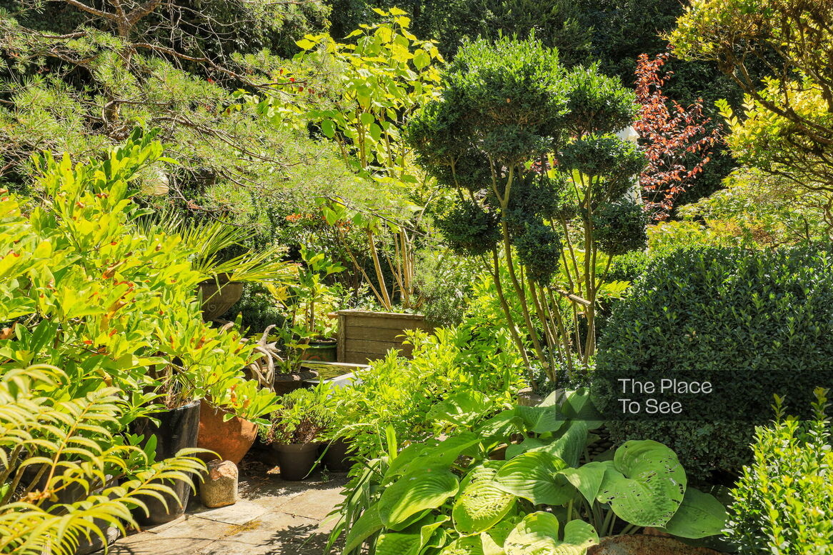 Jardin