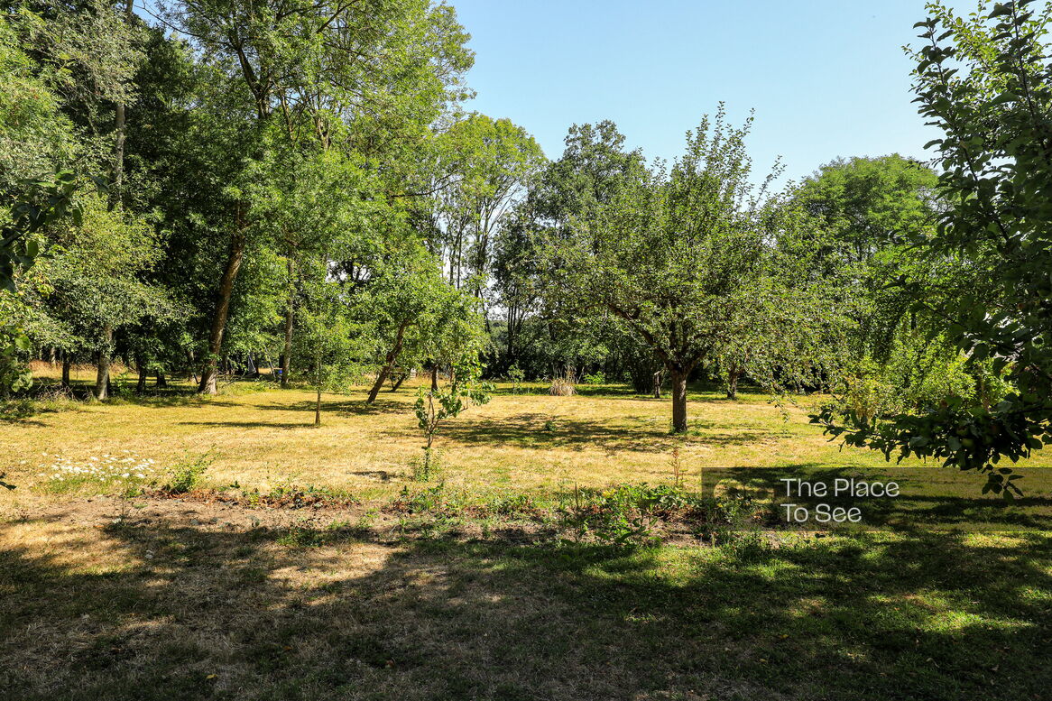Jardin