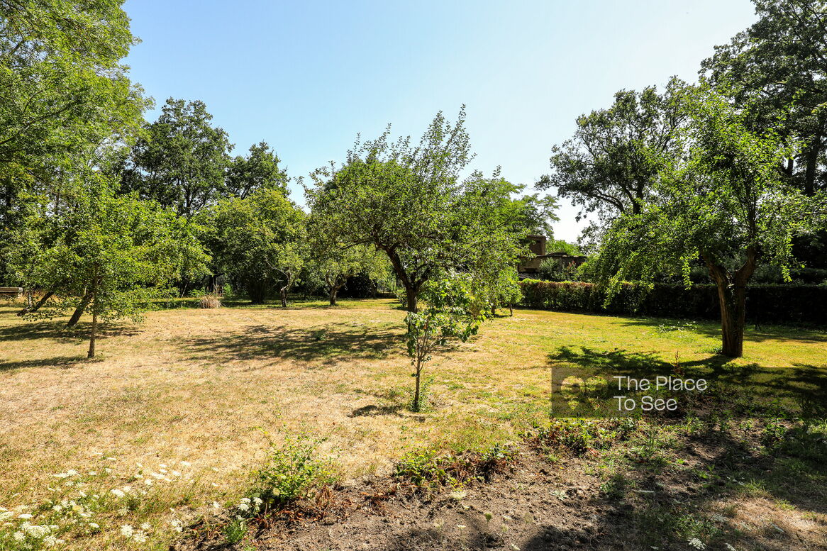 Jardin