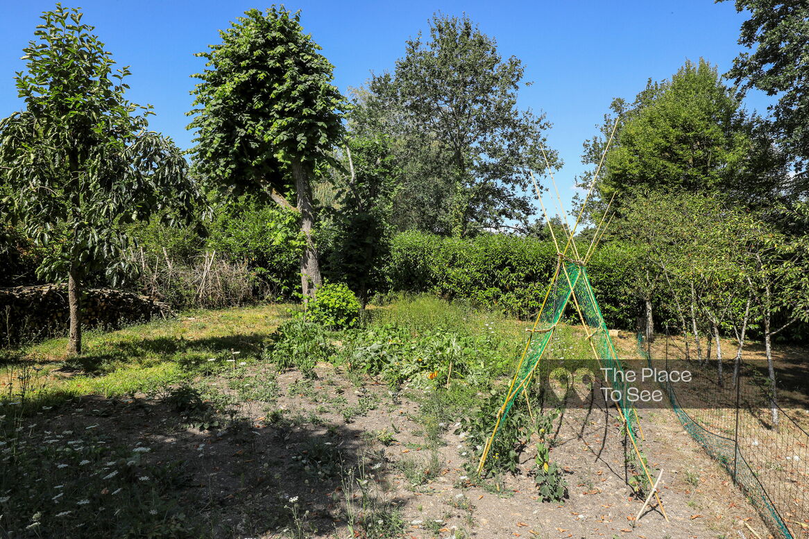 Potager / Verger