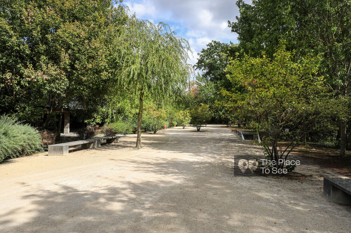 Allée