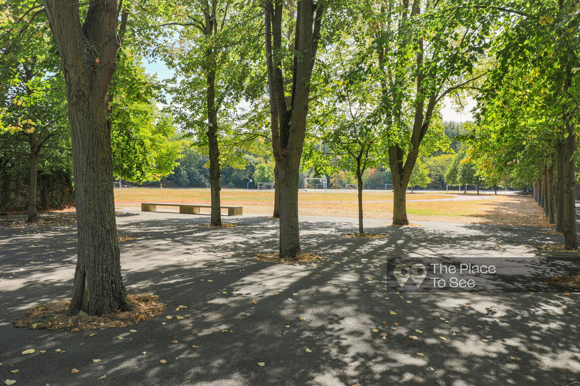 Allée