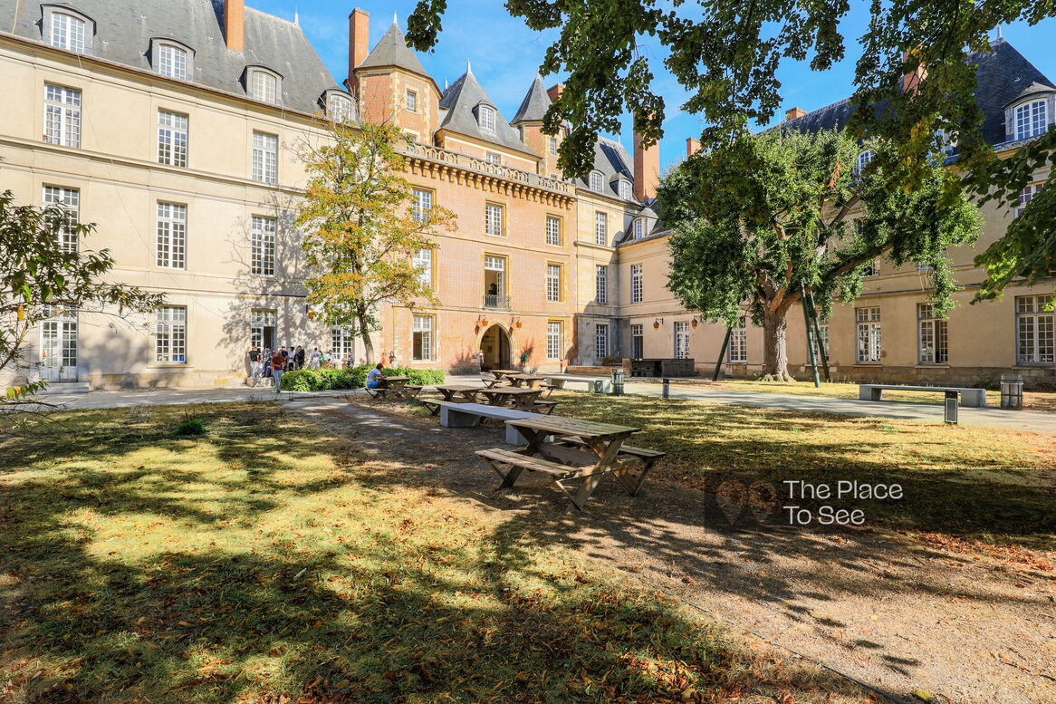 Cour