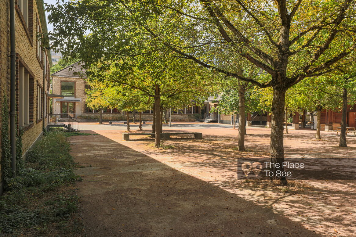Cour