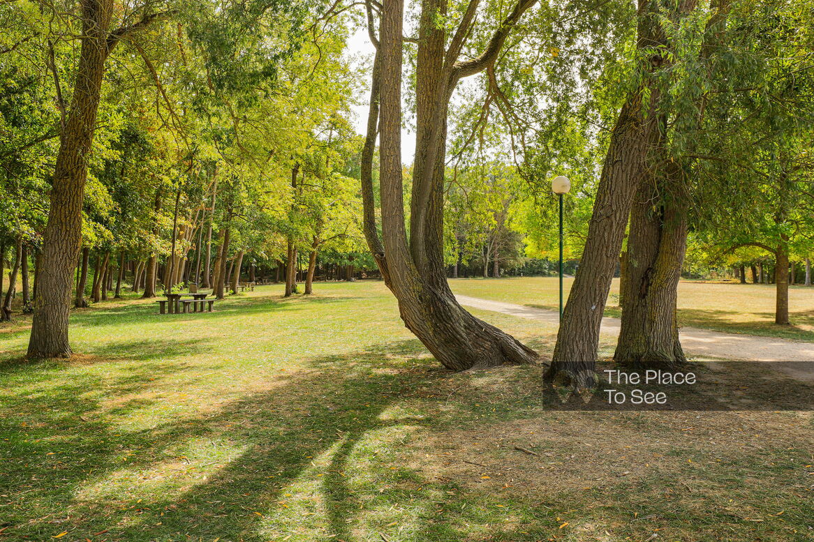 Arbre
