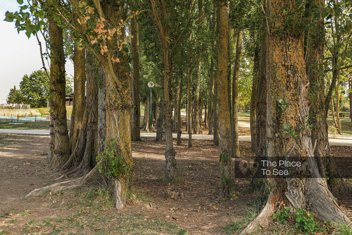 Parc
