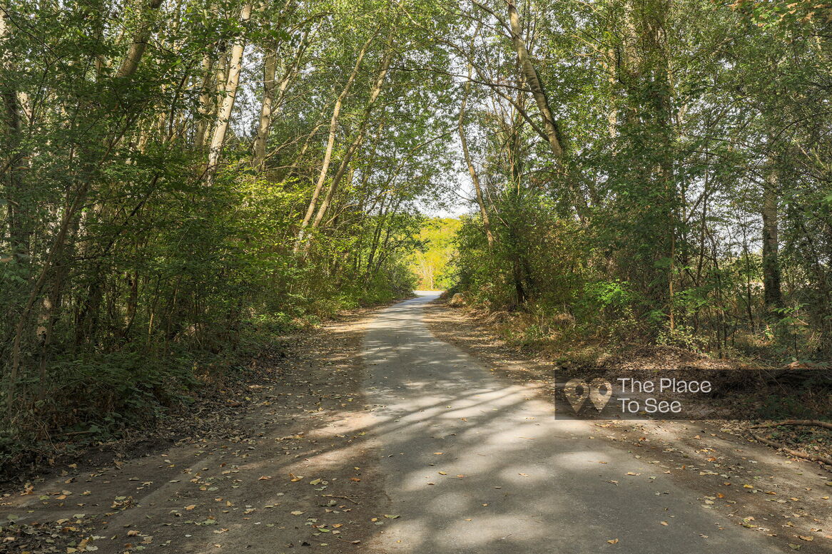 Allée