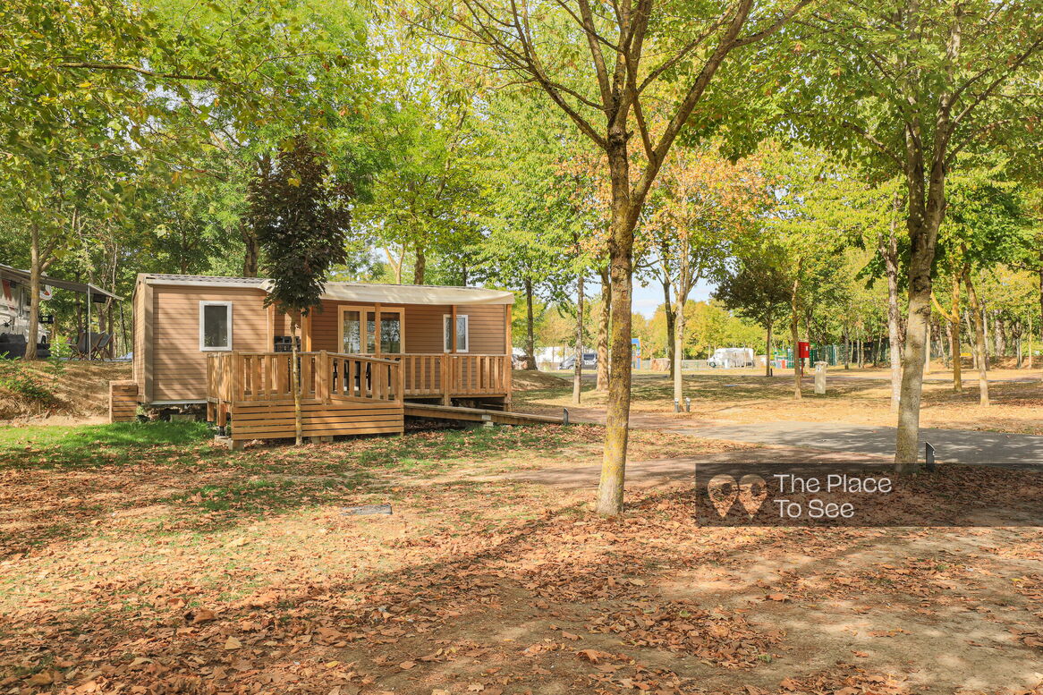 Cabane