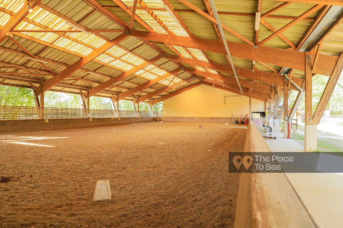 Manège à chevaux