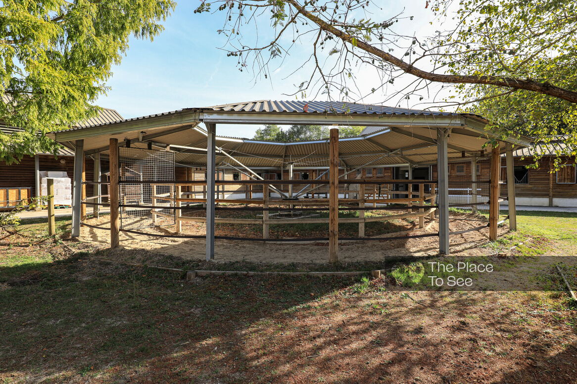 Manège à chevaux