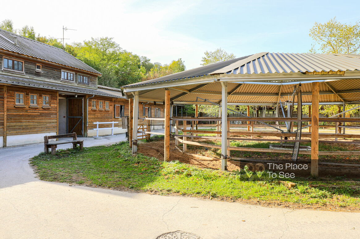 Manège à chevaux