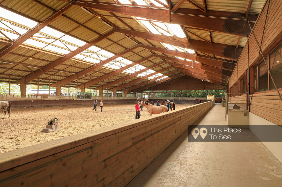 Manège à chevaux